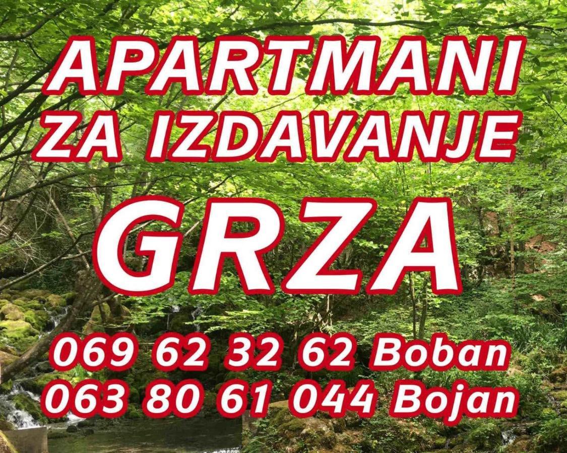 Apartmani Grza Paracin Ngoại thất bức ảnh