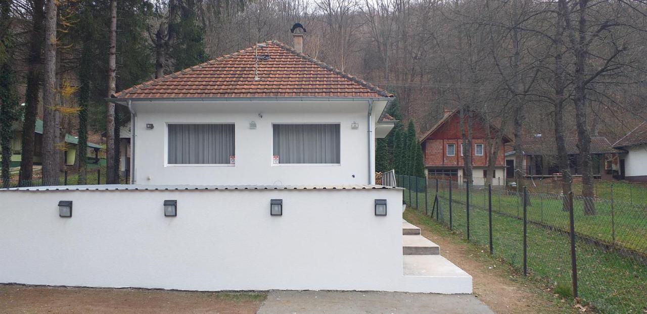 Apartmani Grza Paracin Ngoại thất bức ảnh