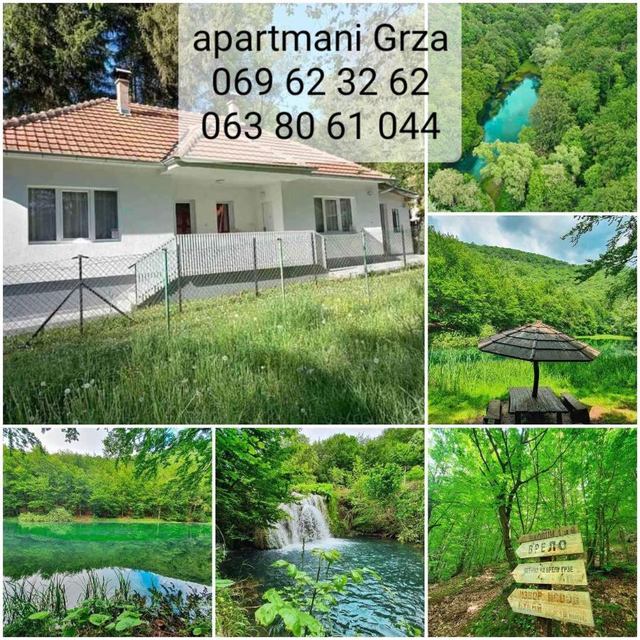Apartmani Grza Paracin Ngoại thất bức ảnh
